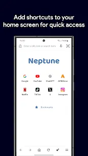 Quick Search Browser screenshot 2